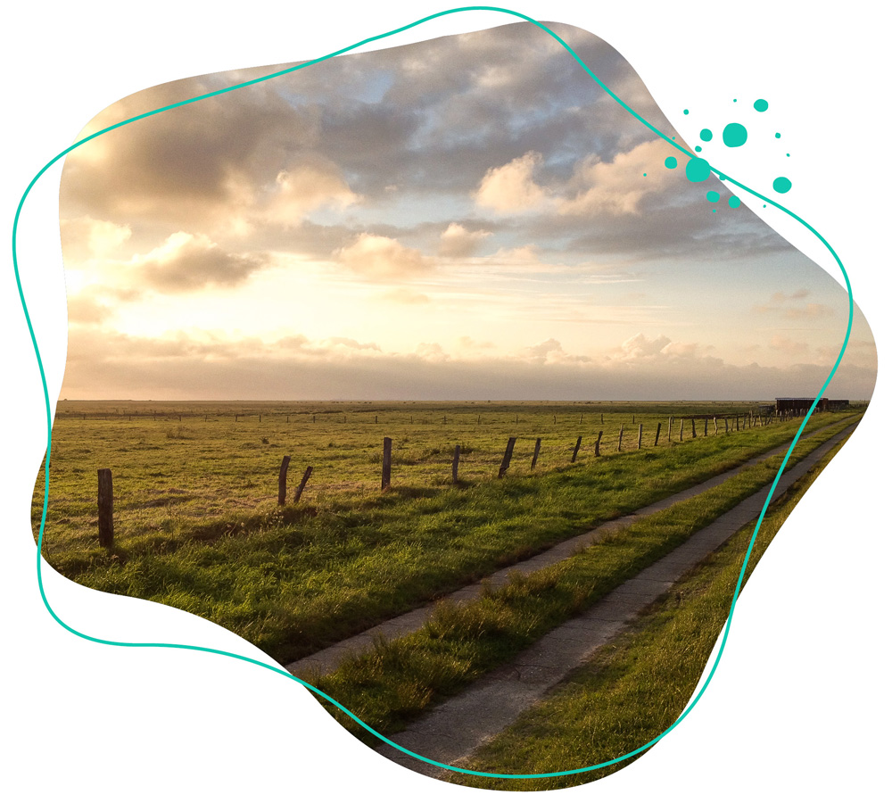 Schöne Spazierwegen in den Salzwiesen beim WDL Dünenhof