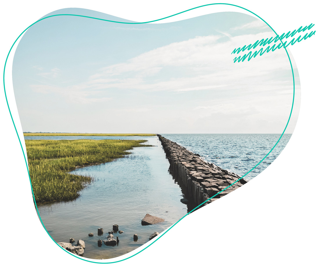 Schöne Umgebung der Steinwall in Berensch beim WDL Dünenhof abgebildet